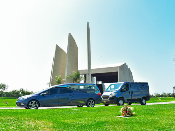 Coches de flores