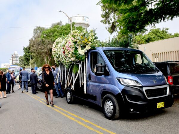 COCHES DE FLORES